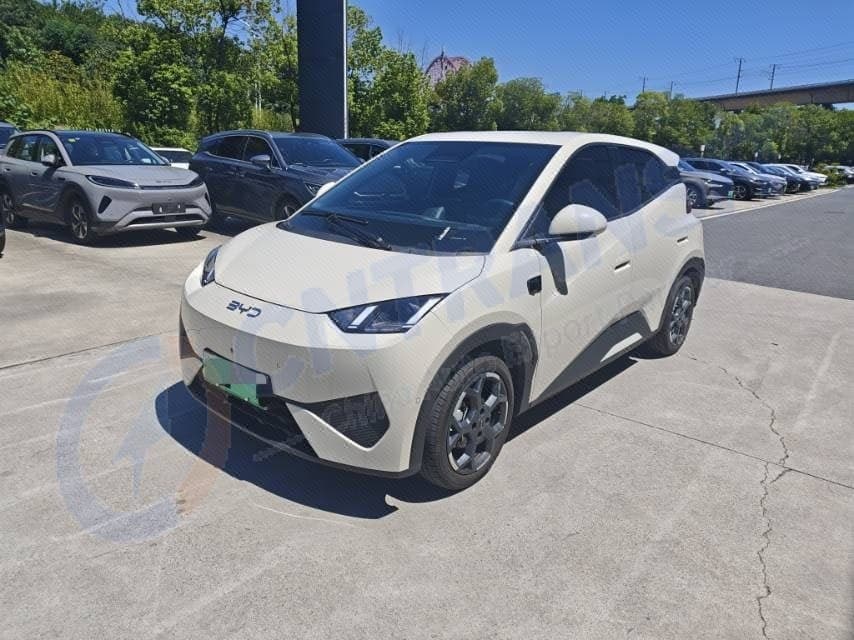 BYD 2025 Seagull Smart Driving Edition 305km Freedom Edition, Automatic Transmission