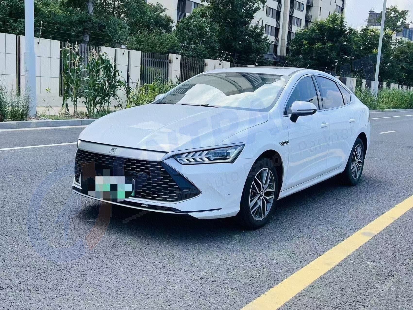 BYD 2023 Qin PLUS DM-i 1.5 CVT Champion Edition, Leading Trim (120 km), Automatic Transmission