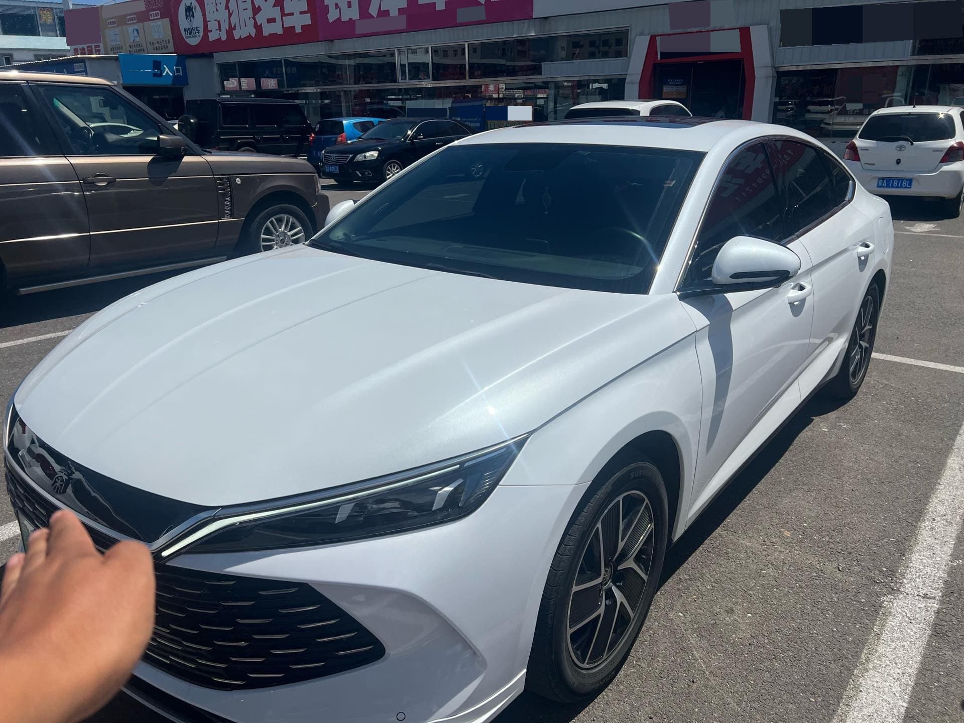 Qin L 2024 DM-i 120KM Excellence Edition