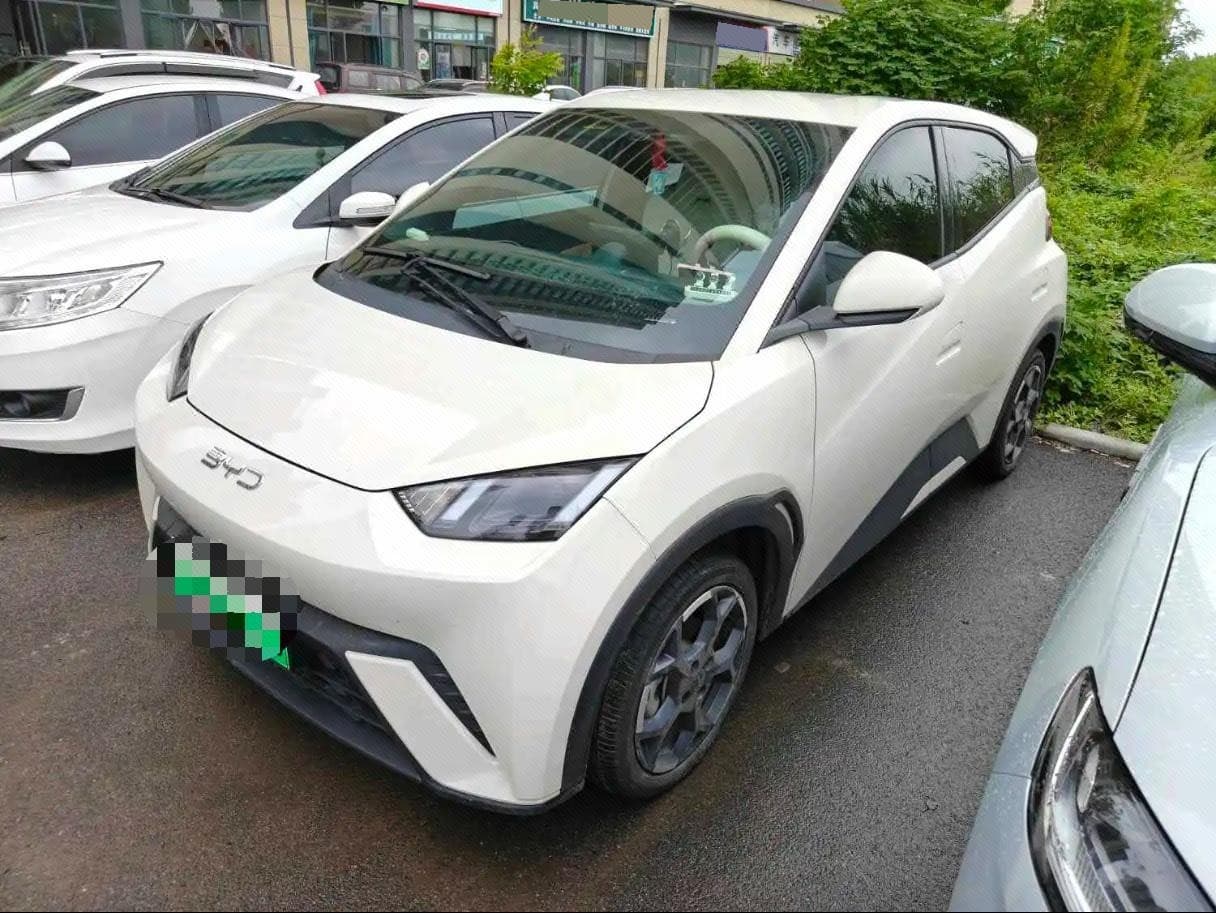 BYD 2024 Seagull Glory Edition 305 km Freedom Edition Automatic Transmission