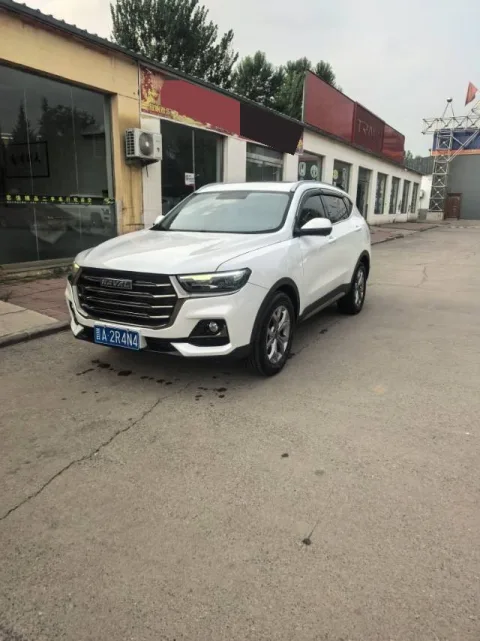 2021 Haval H6 "Guochao" Edition 1.5T Automatic Champion Edition