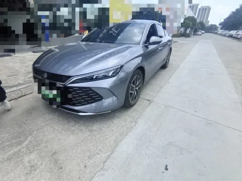 Qin L 2024 DM-i 80KM Leading Edition