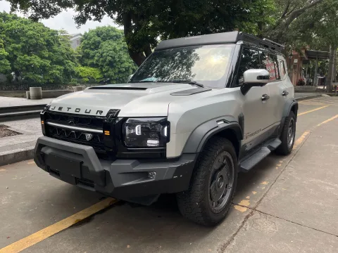 Jietu Traveler 2024 2.0T AWD Silver Dragon Wing