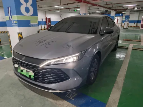 Qin L 2024 DM-i 80KM Leading Edition