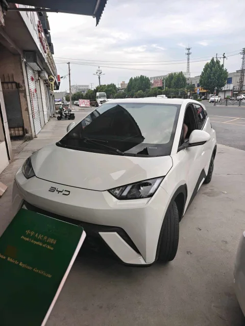 BYD 2024 Seagull Glory Edition 305 km Vitality Edition Automatic Transmission