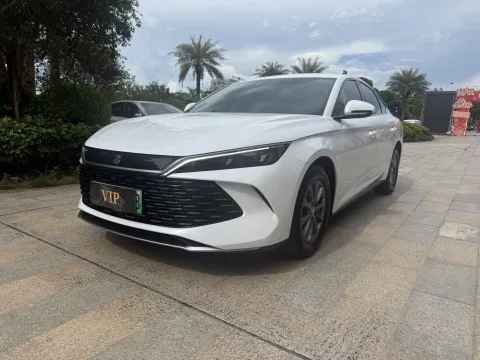 Qin L 2024 DM-i 80KM Leading Edition