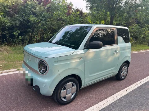 Panda 2023 Model Panda Mini 200 km Endurance Bear