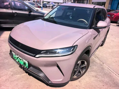 Yuan UP 2024 Model, 401KM, Leading Edition