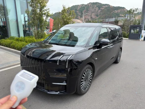 2022 ZEEKR 009 Dual-Motor Base Model, 6-Seater