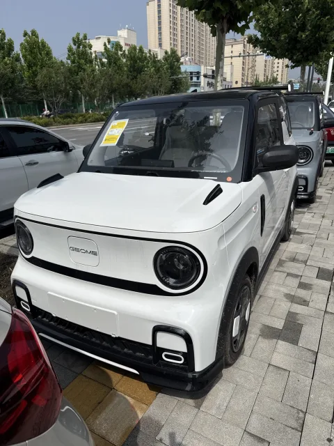Geely 2025 Panda MINI 210 km Panda Kart Automatic Transmission