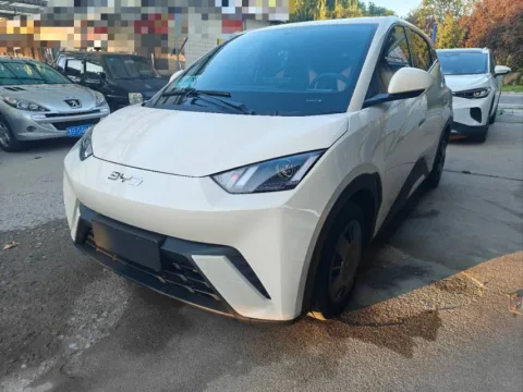 BYD 2025 Seagull 305km Vitality Edition, Automatic Transmission