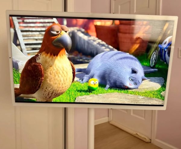 Girlfriend mobile TV 32-inch free screen live broadcast all-in-one portable display